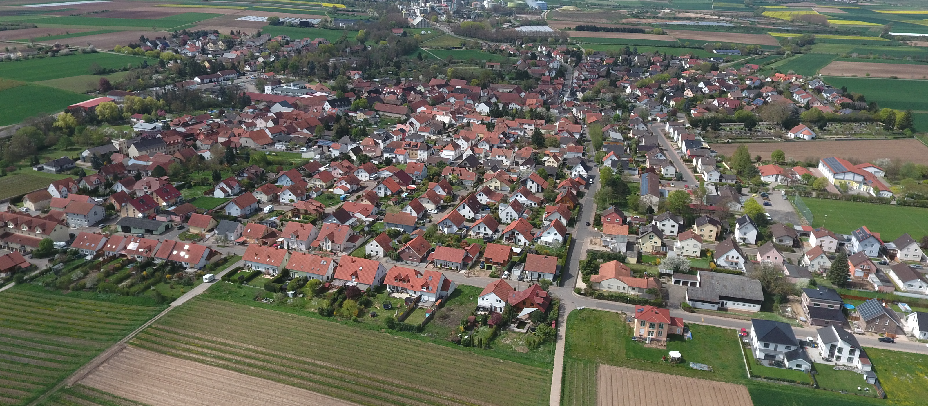 Header Background Large